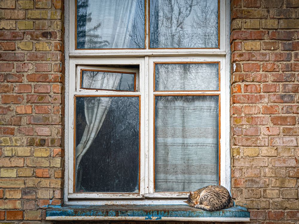 Photograph by Максим Симанчук