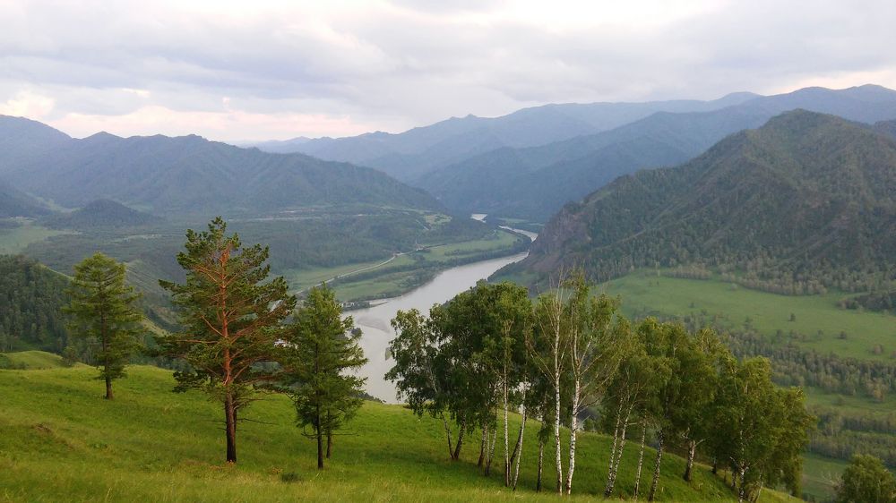 Фотография автора Сыч Римма