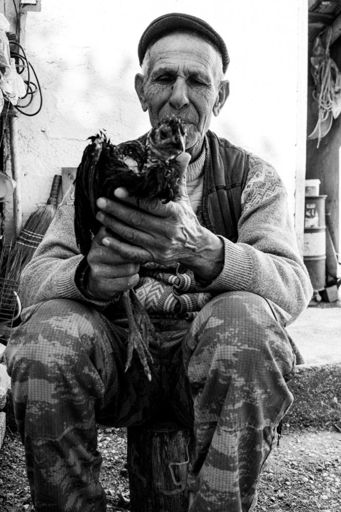 Photograph by Alp Aysgl