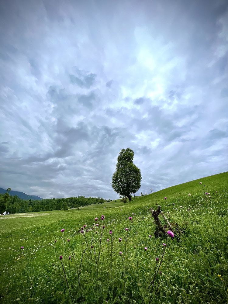 Photograph by Ali Shafie Koli