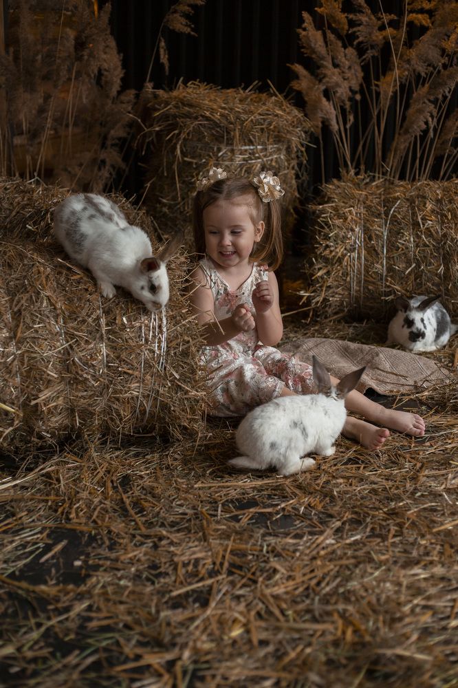 Photograph by Rita Silver