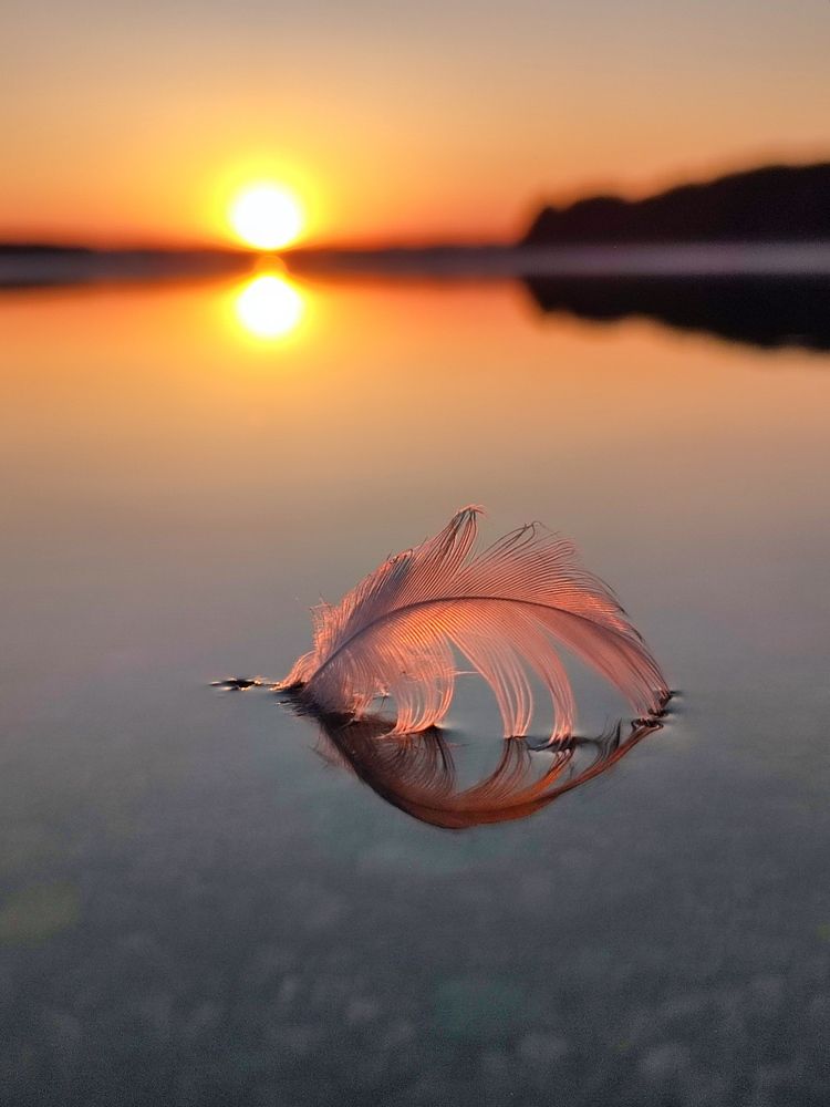 Photograph by Юлия Гинтер