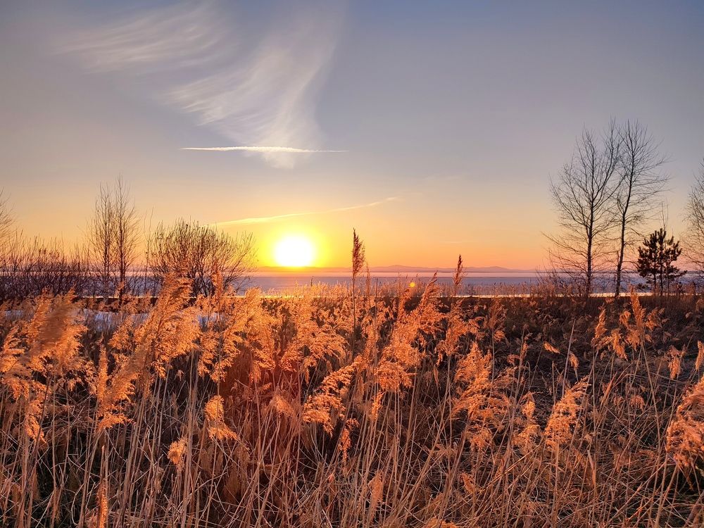 Photograph by Юлия Гинтер