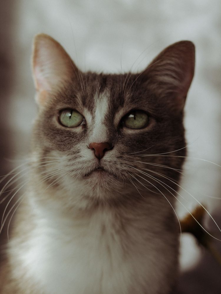 Photograph by Динара Вальчук