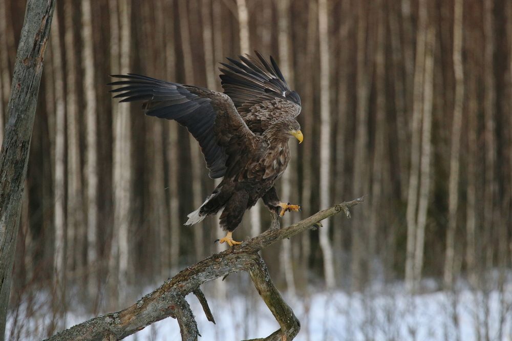 Photograph by Хромов