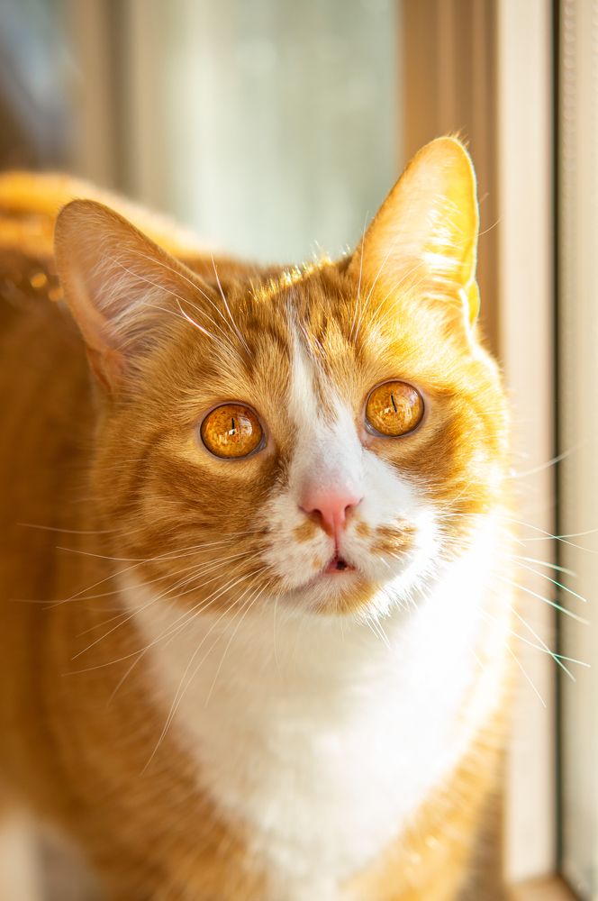 Photograph by Kyttphoto