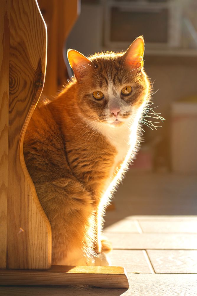 Photograph by Kyttphoto