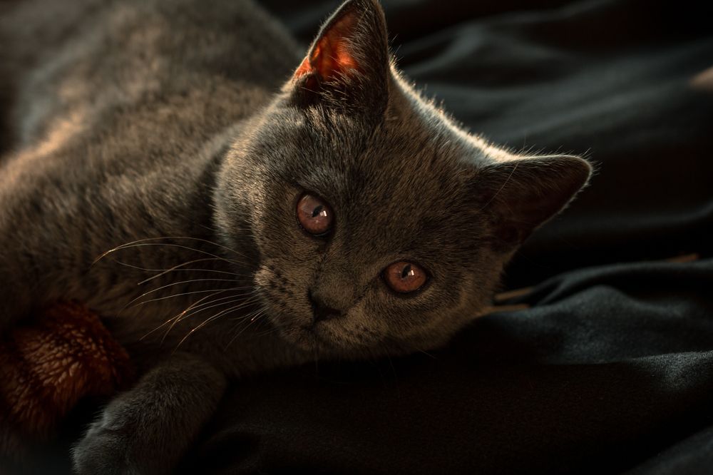 Photograph by Элина Данелия