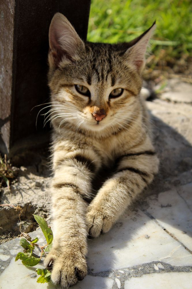 Photograph by talanavard farzad