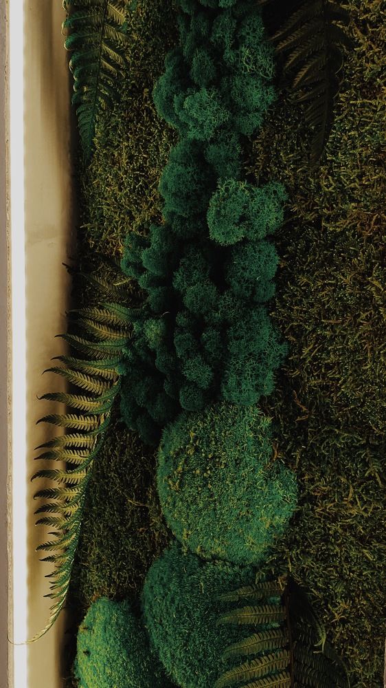 Photograph by Анастасия Мокану