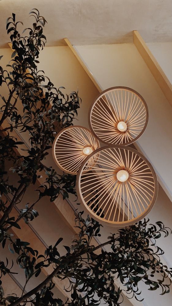 Photograph by Анастасия Мокану