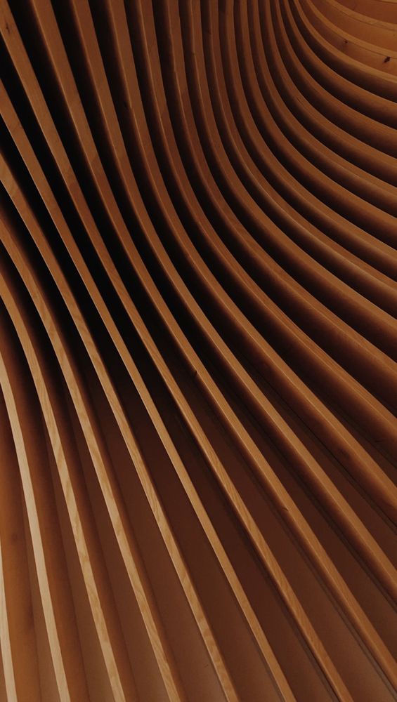 Photograph by Анастасия Мокану