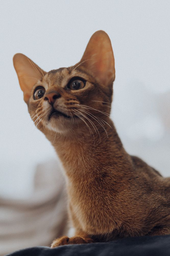 Photograph by nady larionova