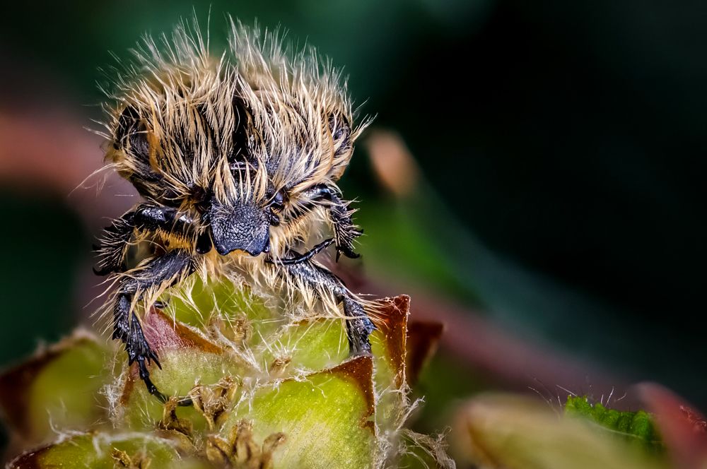 Photograph by Юрий Яковлевич