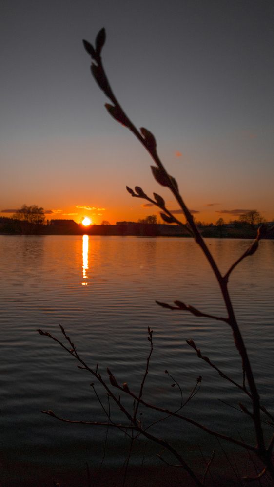 Photograph by Jan Musil