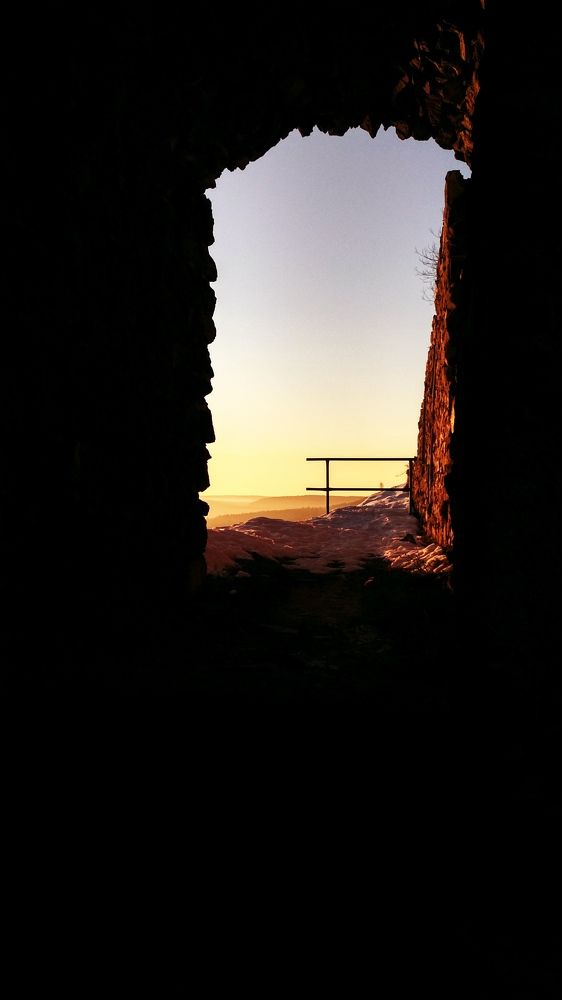 Photograph by Jan Musil