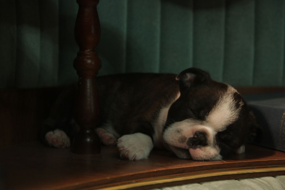 Photograph by Ольга Ермакова