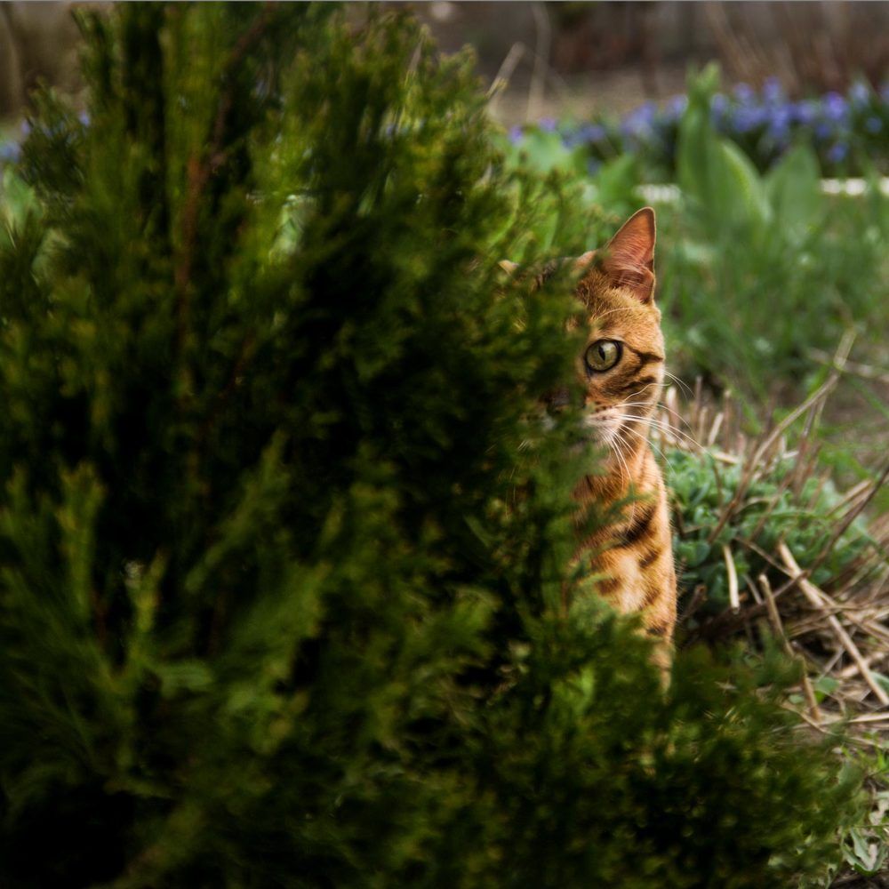 Photograph by Ольга Ермакова