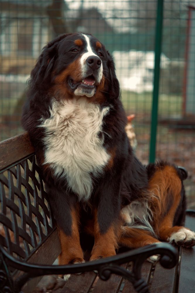 Фотография автора Глеб Колобаев