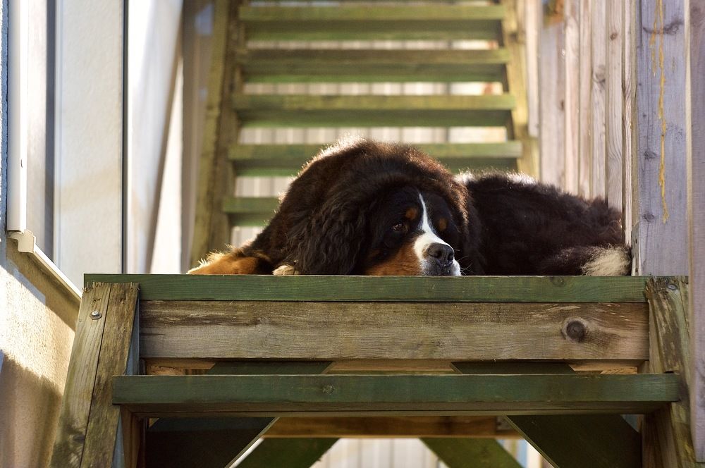 Фотография автора Глеб Колобаев