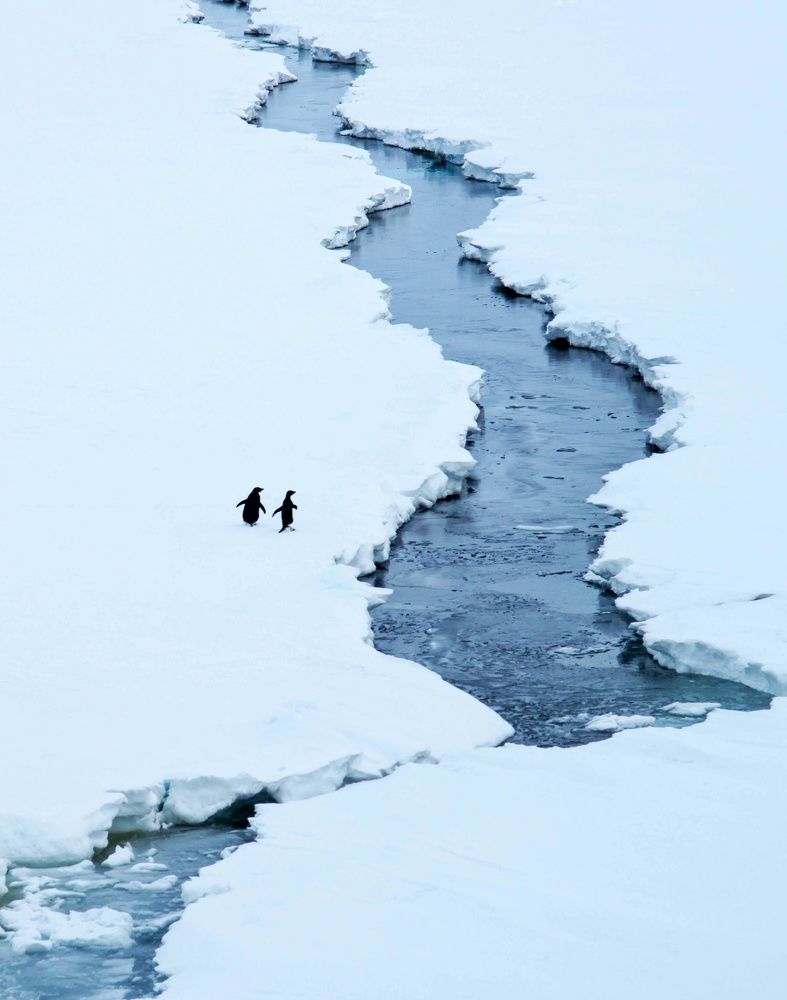 Фотография автора Fotolove Tasha