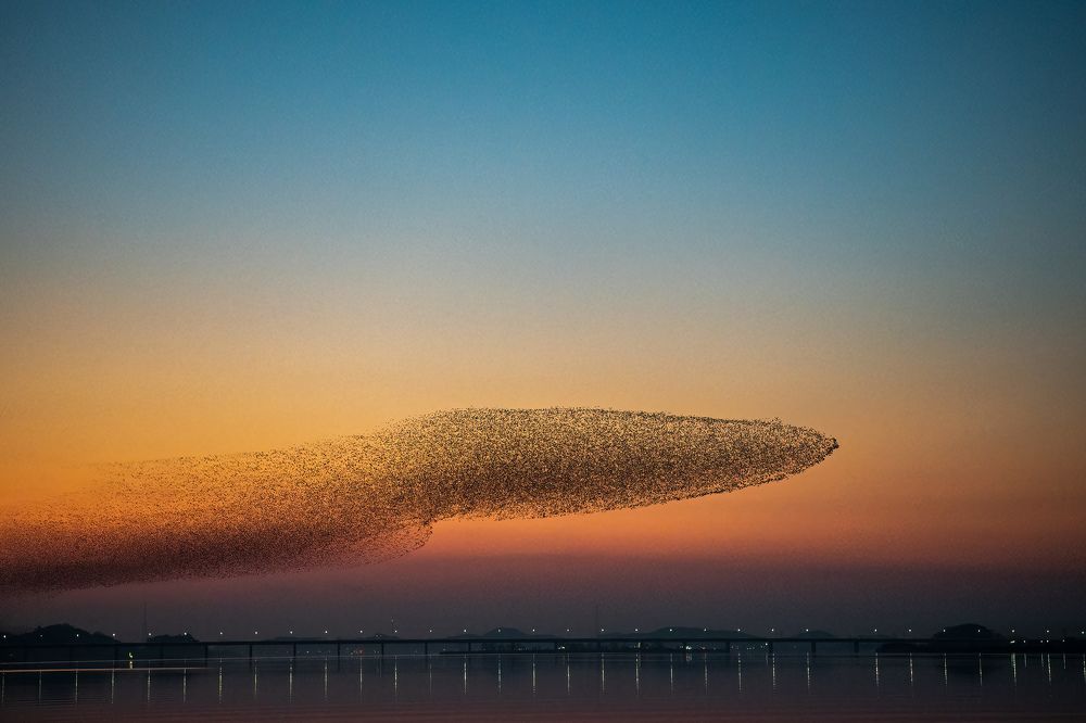 Photograph by Myunggyu Bae