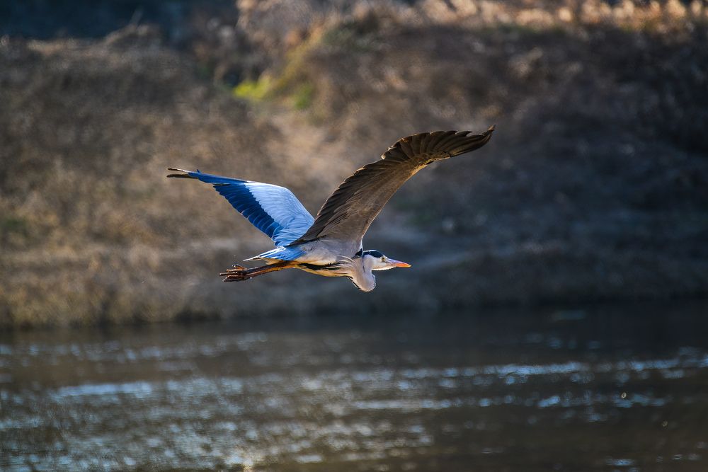 Photograph by Myunggyu Bae