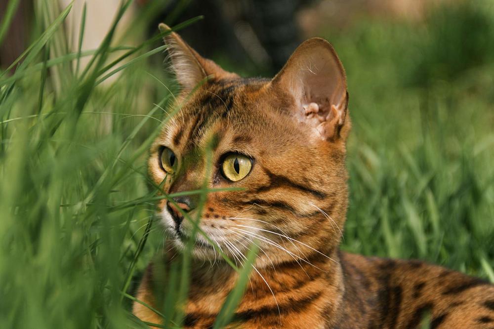 Photograph by Ольга Ермакова