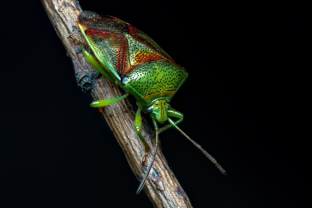 Photograph by Глеб Коровко