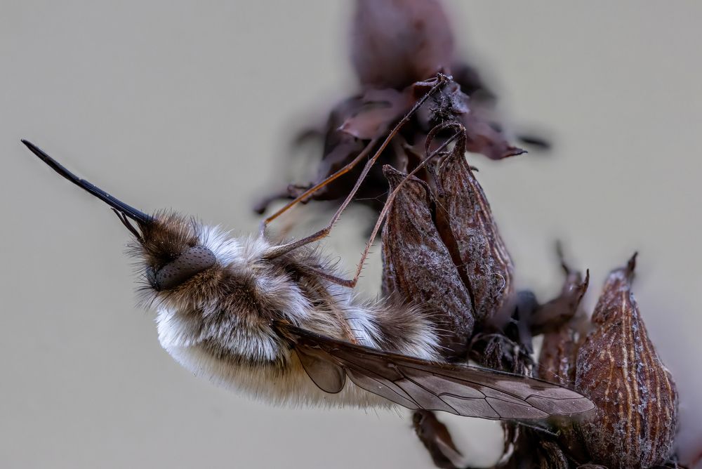 Photograph by Глеб Коровко