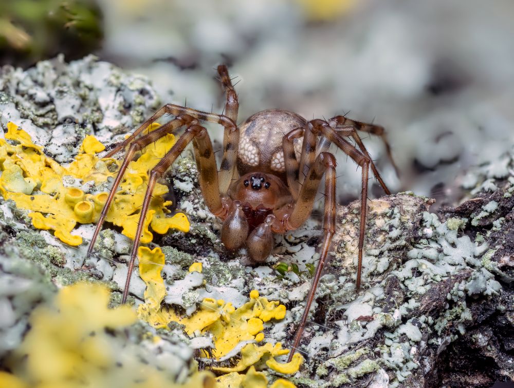 Photograph by Глеб Коровко