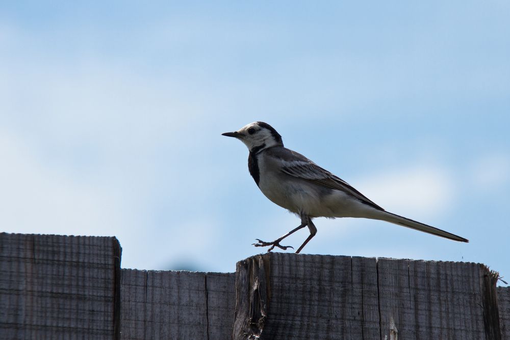 Photograph by Алёна Гильмуллина