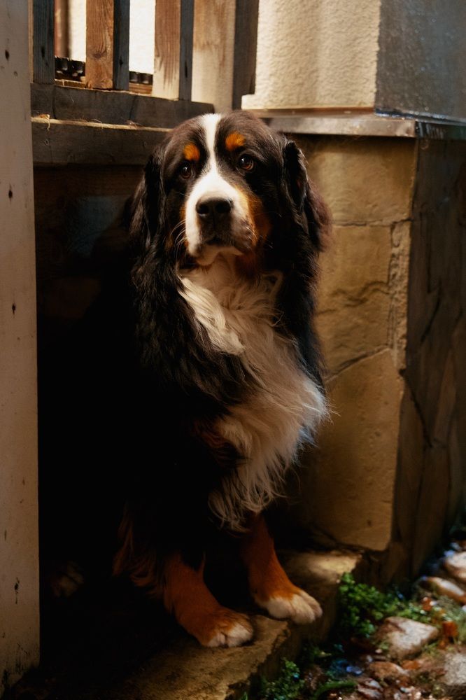 Фотография автора Глеб Колобаев