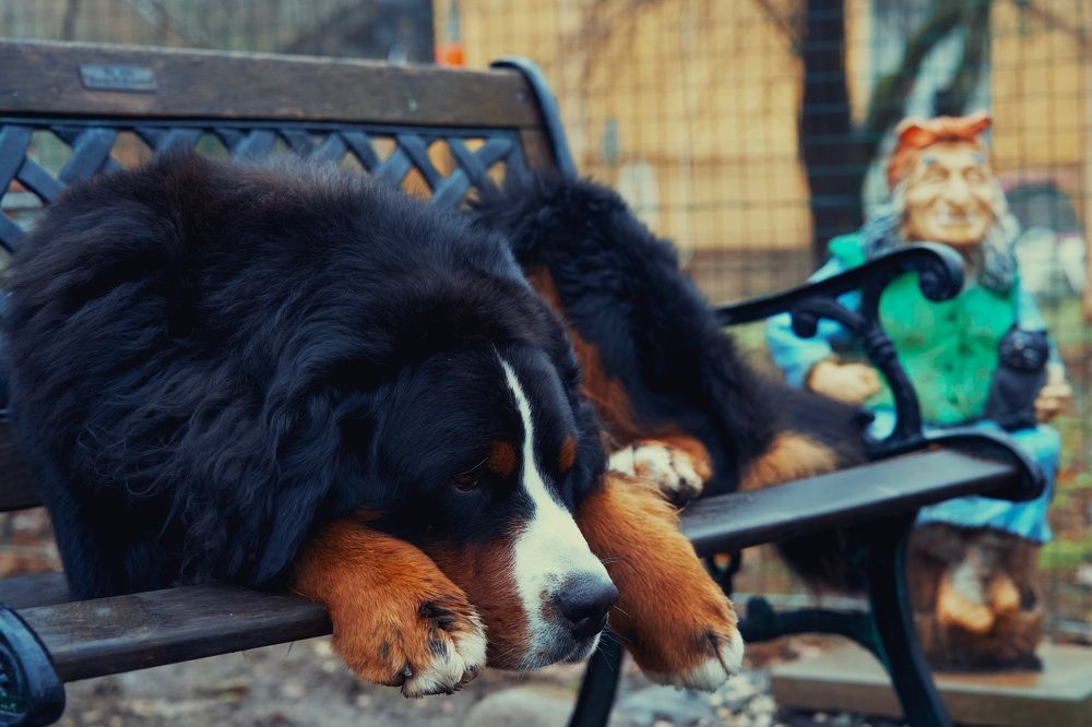 Фотография автора Глеб Колобаев