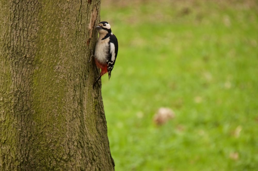 Photograph by Алёна Гильмуллина
