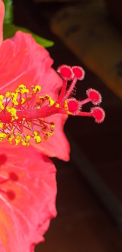 Photograph by Orzigul Babaniyozova