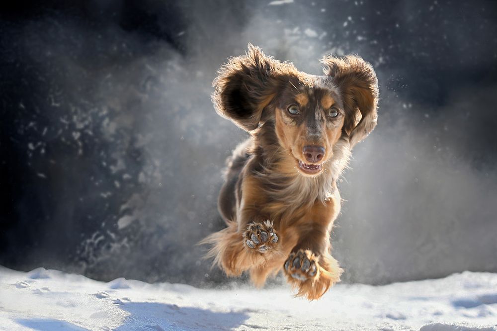 Photograph by Андрей Ершов