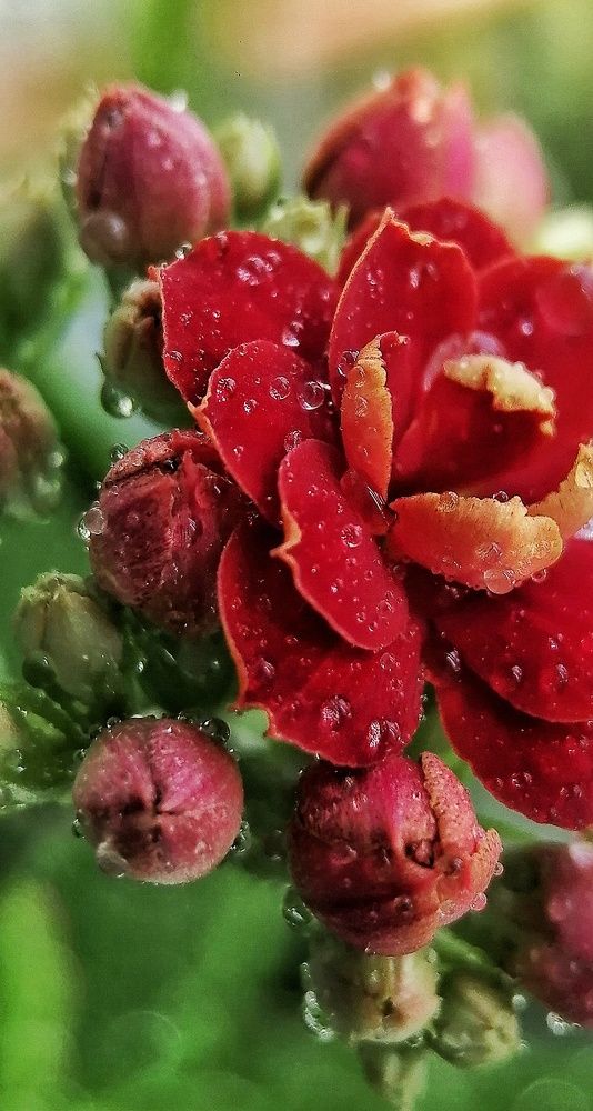 Фотография автора Fotolove Tasha