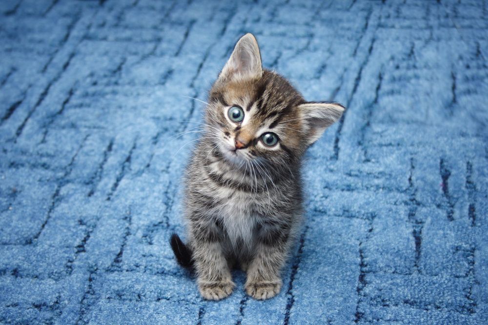 Photograph by Екатерина Запоздаева