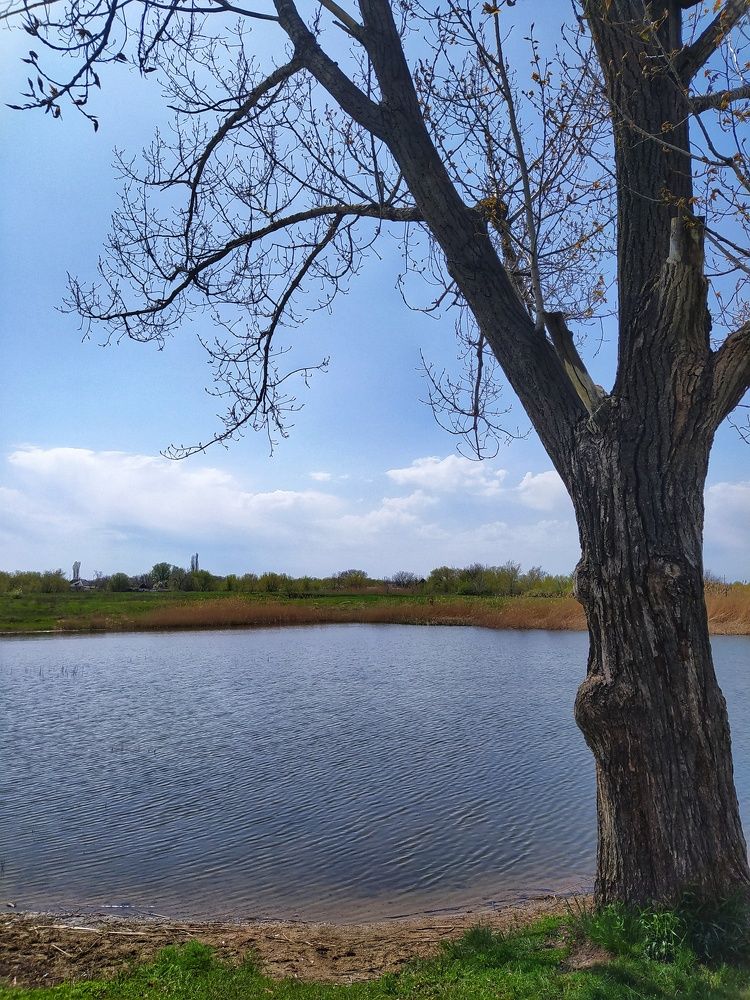 У водоёма.Апрель...