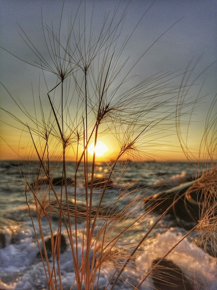 Фотография автора Fotolove Tasha