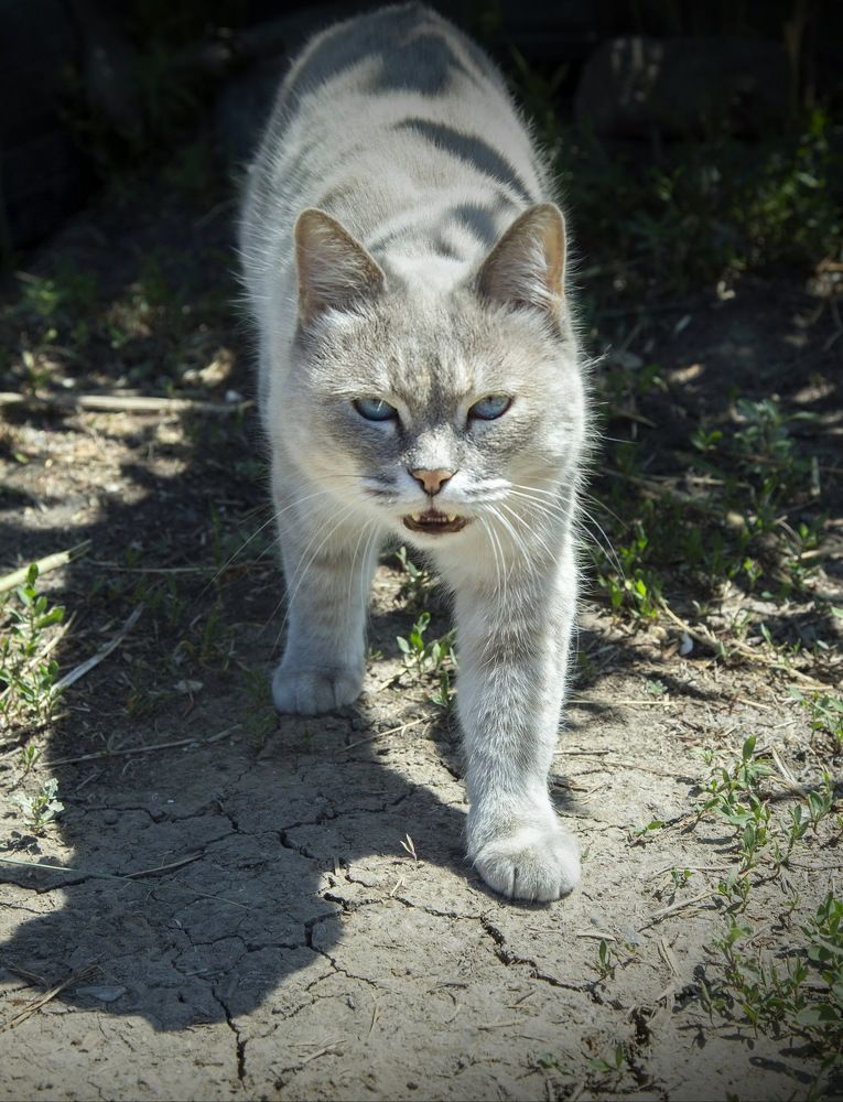Photograph by Марина Ватанская