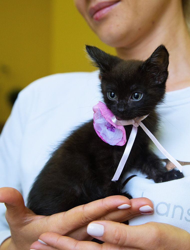 Photograph by Марина Ватанская