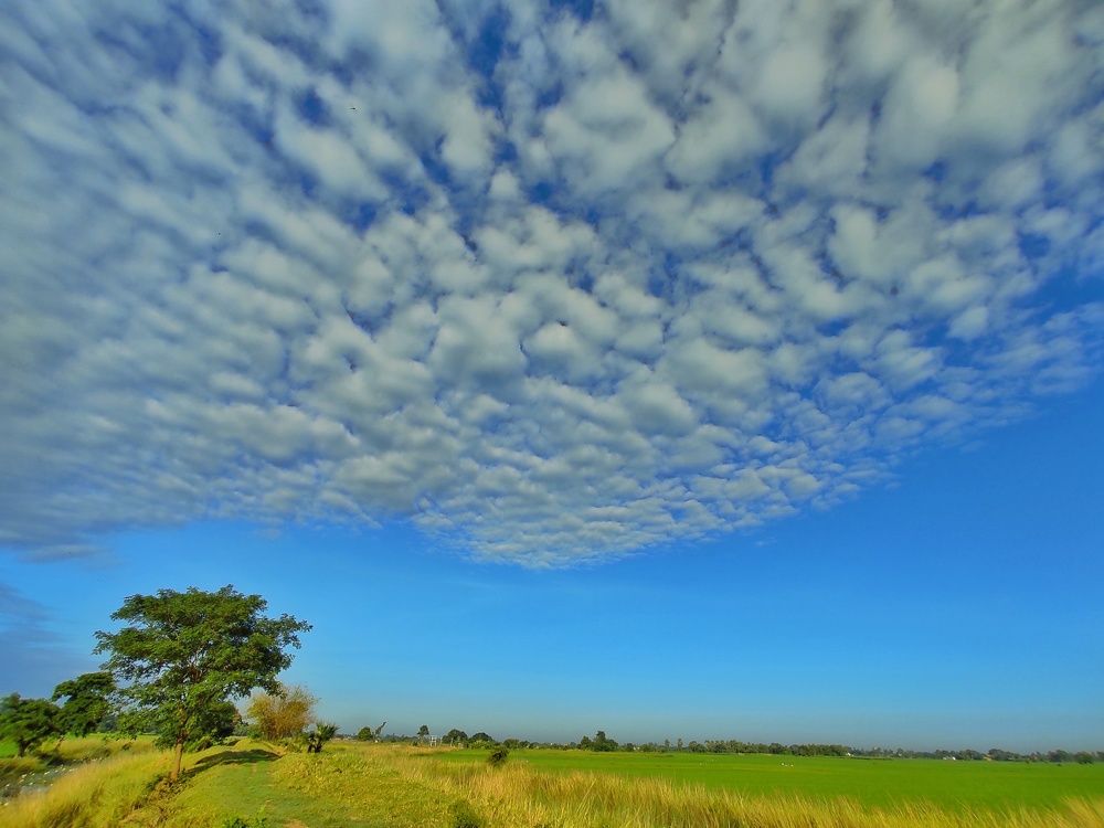Photograph by Mañjil Jàna