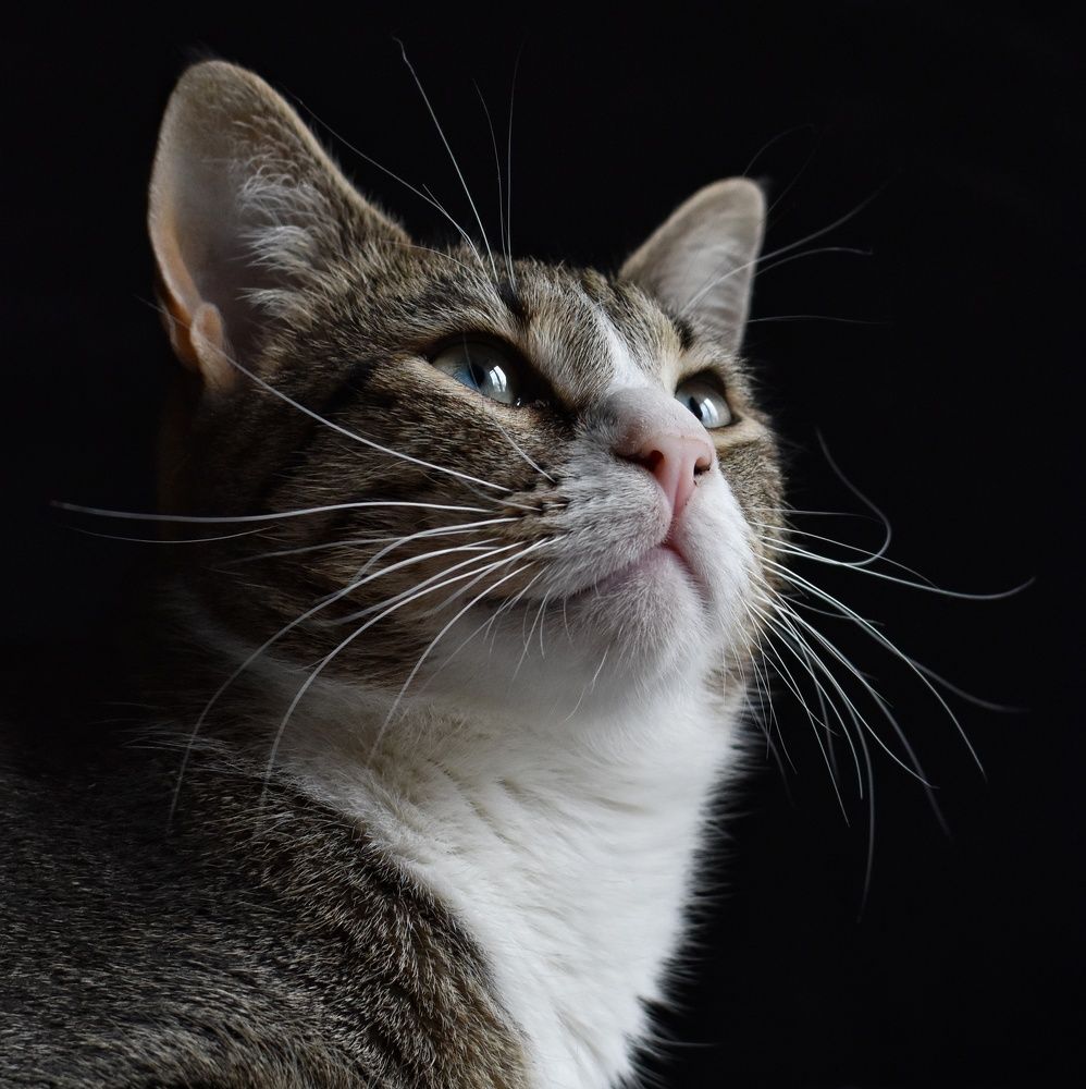 Photograph by Татьяна Юдина