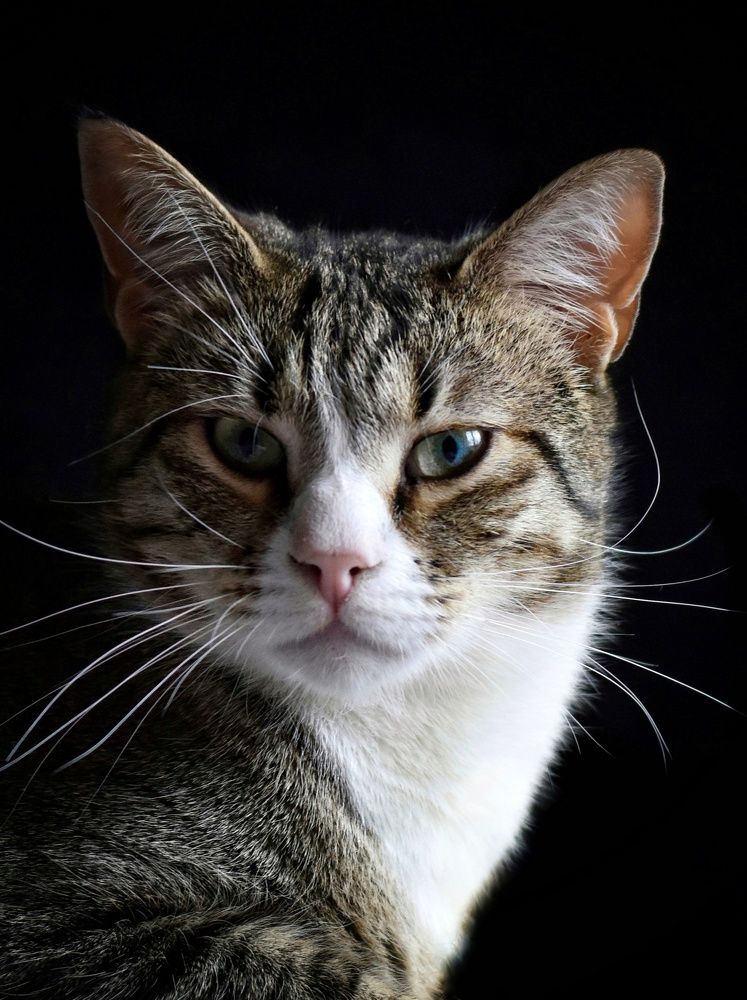 Photograph by Татьяна Юдина