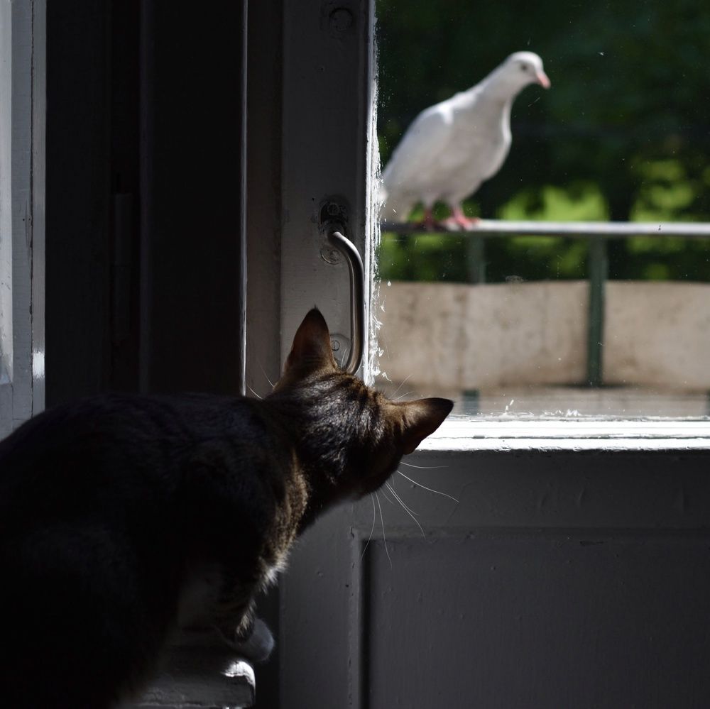 Photograph by Татьяна Юдина