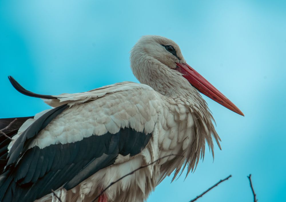 Photograph by Юлия Тельпова