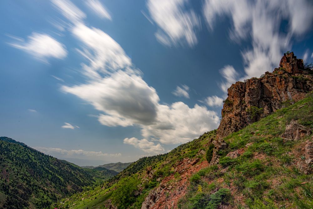 Photograph by Abdulrahman Sawalha