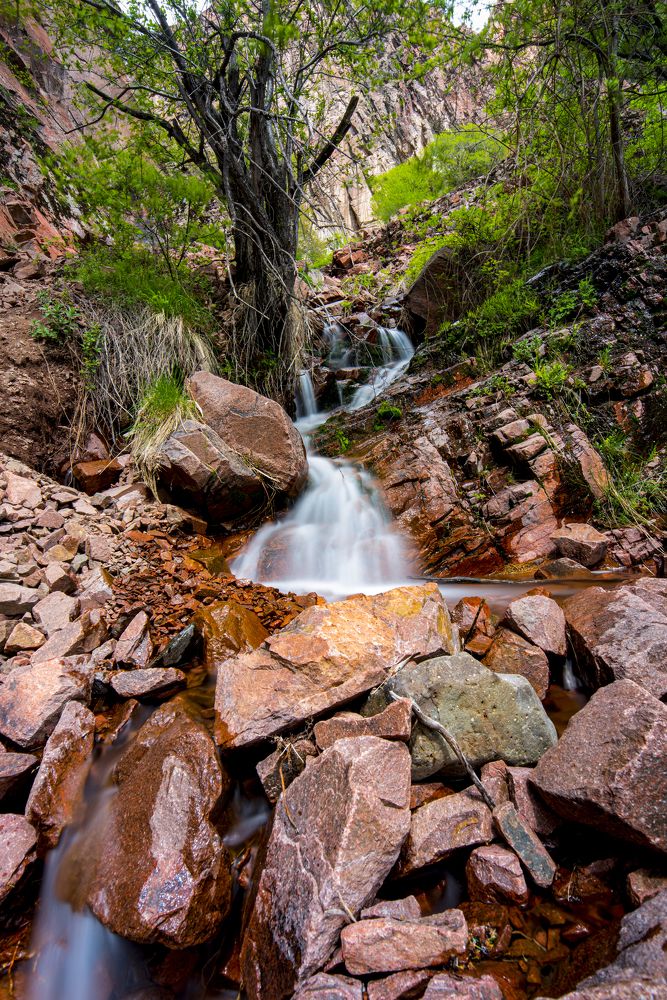 Photograph by Abdulrahman Sawalha